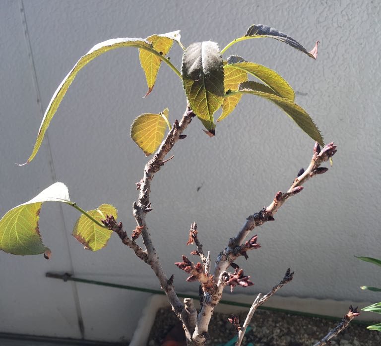 10月初旬の状態