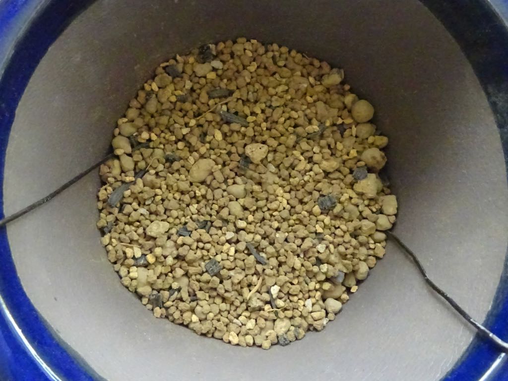 底土が隠れる程度に盆栽土