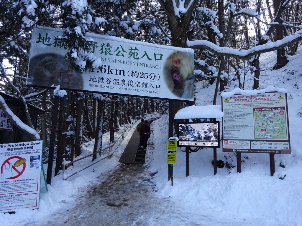 地獄谷野猿公苑入口