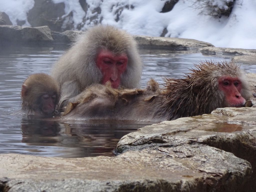 親子で湯浴み