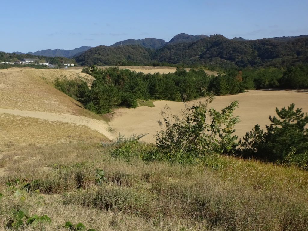 合せヶ谷スリバチ