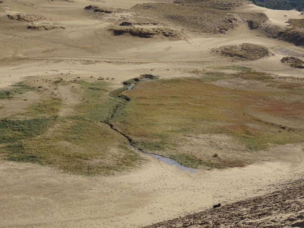 水が涸れたオアシス