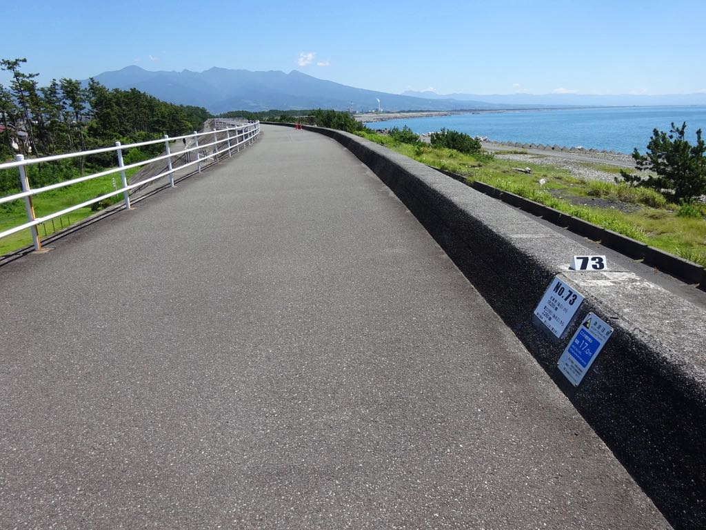 3km地点(No.73) 正面に愛鷹山、その右下に折返し地点のふじのくに田子の浦みなと公園が見える