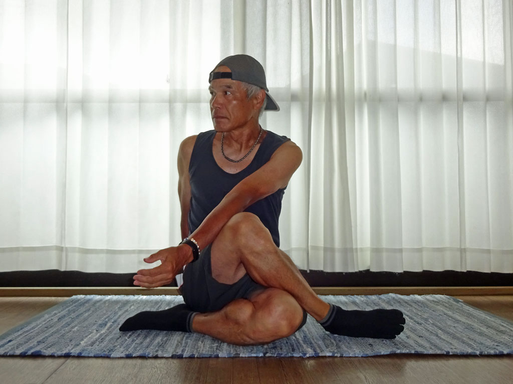 半分の魚の王のポーズ