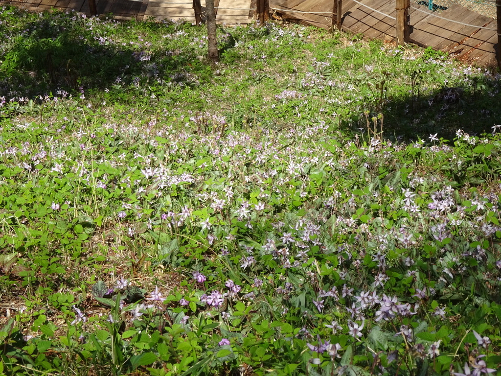 広場から斜面を見下ろす