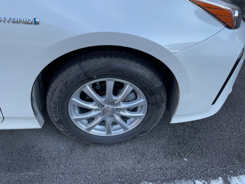 近くで見るとかなり目立つ