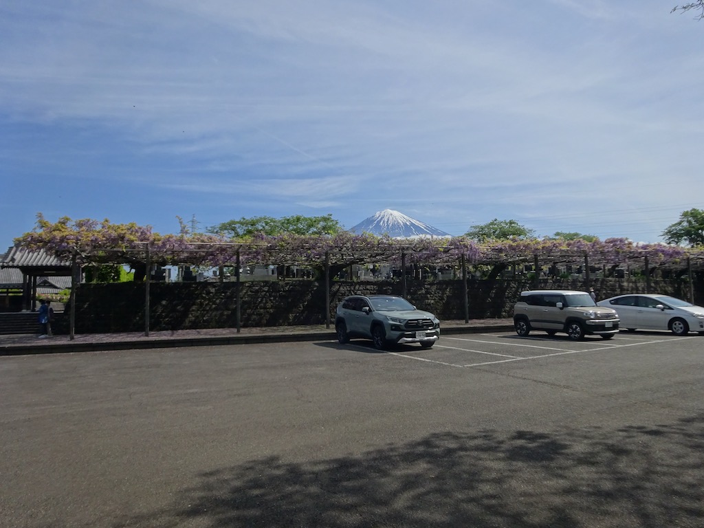 下之坊の駐車場〜藤棚越しの富士山