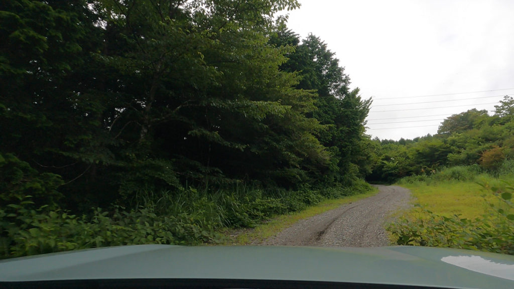 走りやすい林道大峯線